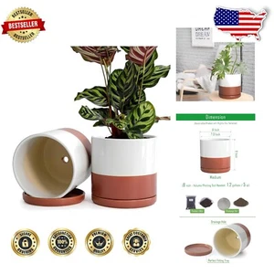 Set of 2 Modern 8-Inch Ceramic Planter Pots with Drainage - Stylish Home Decor - Picture 1 of 9
