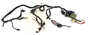 Polaris FST IQ 2007 arnés de cableado conmutador capó principal cableado JP3 - Imagen 1 de 14