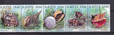 SA04 St Kitts 1996 Seashells mint stamps