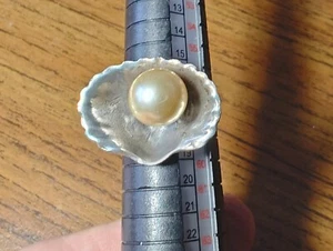 Único Funky Nativo Americano 925 Anillo de Plata Perla en un Anillo de Concha de Mar-Talla 8 - Imagen 1 de 8