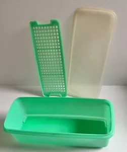 Tupperware Brothalter Sparer Sellerie Gemüse knusprig grün #782 Vintage - Bild 1 von 6