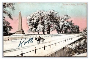 Phoenix Park Winter View Dublin Ireland DB Postcard W22 - Picture 1 of 2