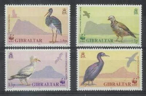 WWF Gibraltar postfris 1991 MNH 619-622 - Vogels / Birds (265) - Bild 1 von 1