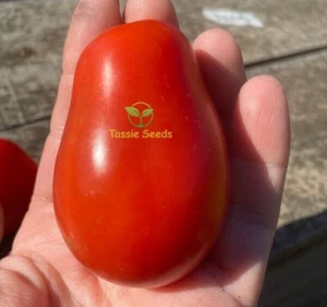 TOMATO (Roma) - 40 Seeds - Tasmanian Grown Organic Heirloom Vegetables Tomatoes - Picture 1 of 5