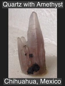Cuarzo con Racimo de Cristal Amatista Muestra Mineral Curativo Chihuahua, México - Imagen 1 de 5