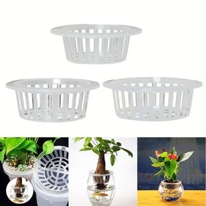 Maximiser l'espace dans les systèmes hydroponiques pot en maille plastique pani - Picture 1 of 19