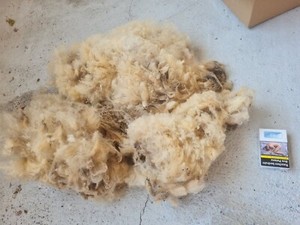 Schafwolle Rohwolle online kaufen eBay