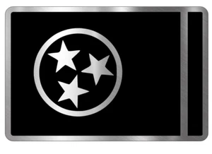 Flag of Tennessee State USA Engraved Car Badge Acrylic Emblem BRUSHED SILVER. - Picture 1 of 4