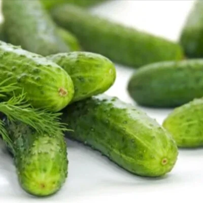 10 Mini Cucumber Seeds UK Snack Gherkin High Yield Hanging Outdoor Anulka F1 - Image 1 of 4