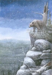 Brown Bear Art Print. Original Signed Numbered Limited Print of 950. - Picture 1 of 1