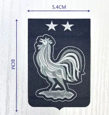 Logo, Écusson,patch,FFF France Brodé À Coudre Ou Presse À Chaud. - Imagen 1 de 2