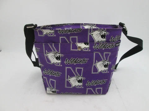 Vintage Northwestern University Insulated Large Cooler Bag  Big Ten Cover