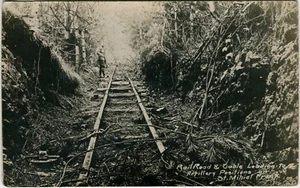 WWI World War I RPPC History Battle of St. Mihiel Front Battlefield Postcard Lot - Picture 1 of 5
