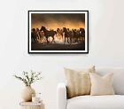 Horses Left To Nature In Turkey Poster Premium Quality Choose Your Size