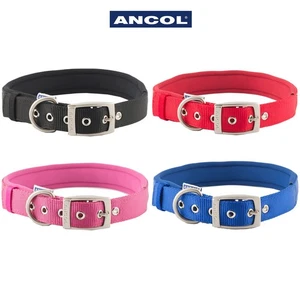 Padded Dog Collar 56-66cm Neoprene Metal Eyelets Ancol Nylon XL Soft & Strong - Picture 1 of 18