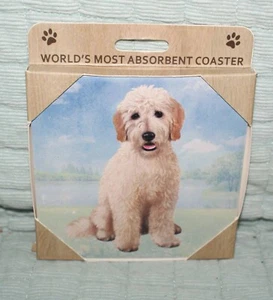 Dog Worlds Most Absorbent Ceramic Pet Coaster Goldendoodle Fast Shipping - Picture 1 of 3