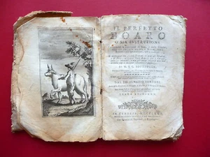 Il Perfetto Boaro Boutrolle Locatelli Venedig 1780 Ochsen Kühe Schweine Montoni - Bild 1 von 7