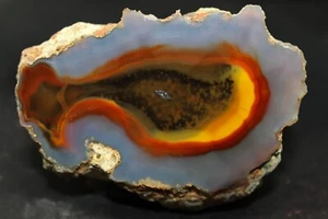 Condor agate collector specimen (Fluorescent) - Picture 1 of 5