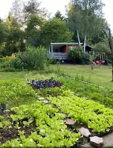 Gartengrundstück - Bild 1 von 19
