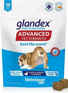 Glandex Anal Gland Soft Chew Treats with Pumpkin for Dogs Digestive Enzymes - Picture 1 of 9