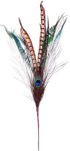 Vástago en aerosol de pluma faisán pavo real 27" decoración artesanal floral natural 165d - Imagen 1 de 12
