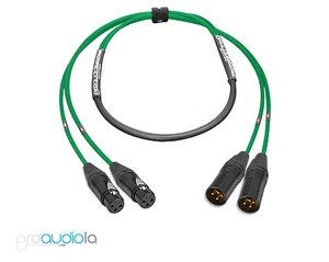 Premium 2 Channel Mogami 2930 Snake | Neutrik Gold XLR F to XLR M | Green 6 ft. - Picture 1 of 1