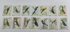 1922 Arm&Hammer Useful Birds of America Mixed Lot 3, 9th And 10th Series 28 Card
