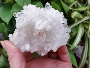 230g natürliches schönes transparentes Quarz Kristall Cluster Mineral Präparat  - Bild 1 von 12