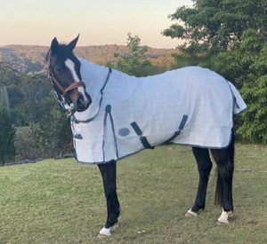 Diamond Weave Ripstop Cotton Combo Horse Pony Rug - Day Sheet - Picture 1 of 4