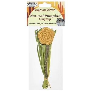 Lollypop de calabaza natural - Masticable divertido y único para conejos, cobayas, etc. - Imagen 1 de 6