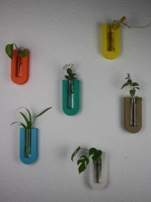 Gerundete Reagenzglas Vase mit Wandhalterung Hydroponic Pflanzenvermehrung - Bild 1 von 4