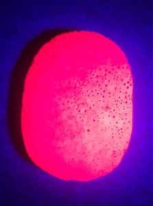 Große 2" 51g hübsche UV reaktive rote Rubin Waben Kristall Palme Stein Palmenstein - Bild 1 von 10