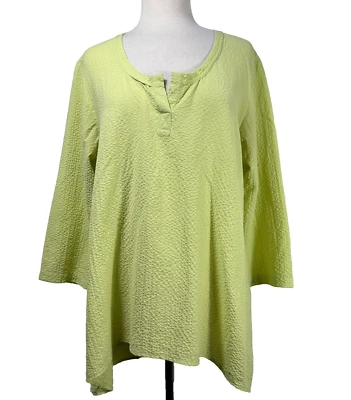 Blusa túnica feminina Habitat Clothes to Live In verde pequena Lagenlook relaxada - Imagem 1 de 4