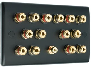 Speaker Wall Plate Matt Black 7.1 14 Binding Posts + 1 RCA AV Audio Non-solder - Picture 1 of 5