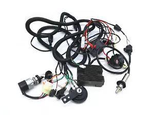 CF250 GY6 250cc kandi kinroad buggy complete wiring loom harness components - Picture 1 of 4