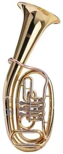 Tolles Tenorhorn, perfekt für Schüler und Einsteiger geeignet! - Bild 1 von 8