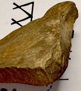 Native American Indian Authentic Artifact Stone/Tool Carved, 6.6 oz • NY - Picture 1 of 24