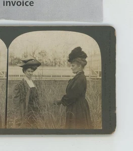 Women in Grass Toledo OH Ohio Brownson Stereoview - Picture 1 of 2