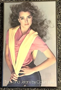 Brooke Shields Color handsigniertes 8x10 Foto + 12x20 vollfarbig montiertes Poster - Bild 1 von 9