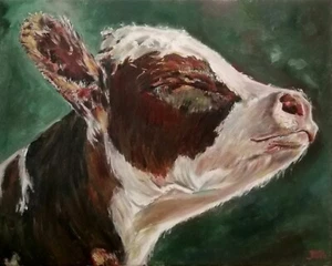 Kuh-Porträt, Ölgemälde auf Leinwand, signiert, 50 x 40 cm - Bild 1 von 3