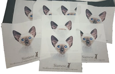 8 Siamese  Cat  8 X 8 inch Fabric Quilt Squares or Pillows - Image 1 of 4