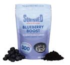Squished | Rescue Blueberry Boost | 2 x 150g