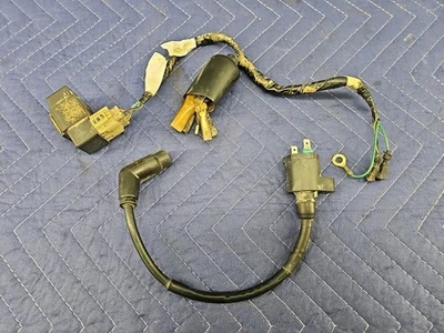 Honda XR70R XR70 CRF 2001 97-03 CDI caja bobina de encendido arnés eléctrico probado Foto 1 de 4