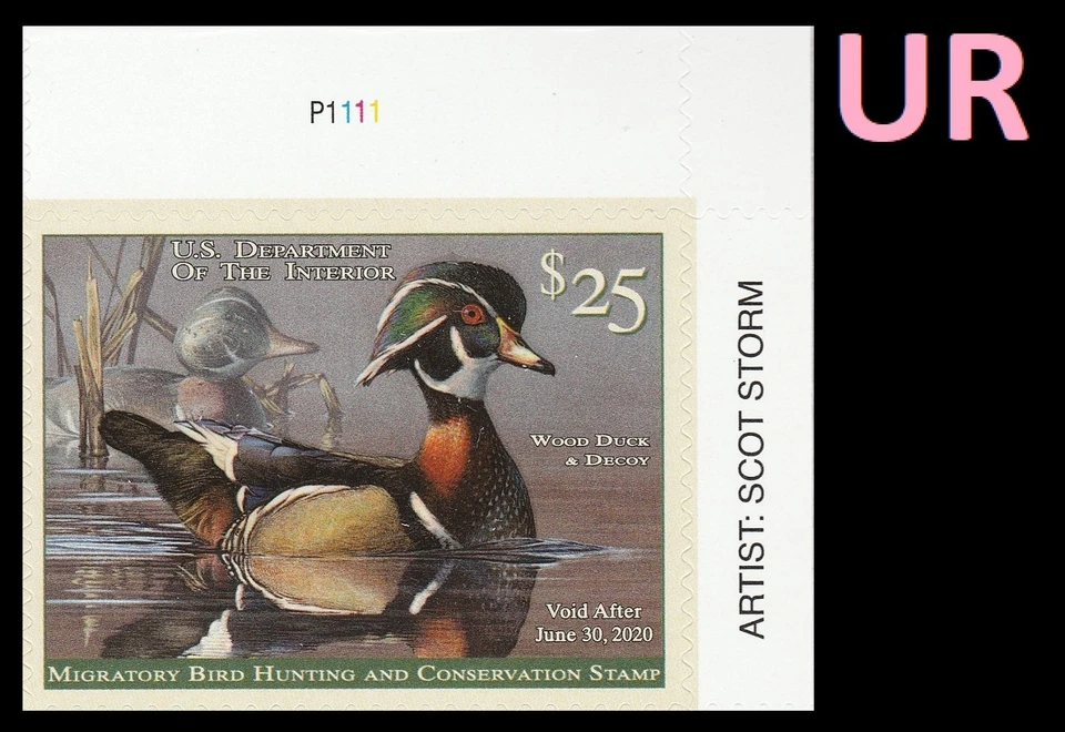 US RW86 Wood Duck $25 plate single UR MNH 2019-2020 - Image 1 of 1