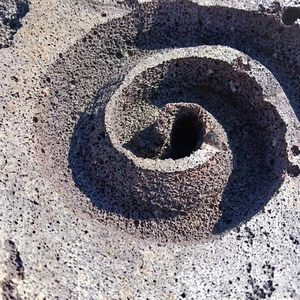 Volcanic Igneous Pahoehoe Lava Rock Specimen Basalt Mineral Spiral Bowl Carving - Picture 1 of 22
