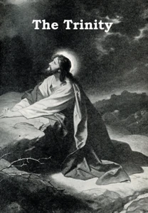 Eine Broschüre über die Dreifaltigkeit für Siebenten-Tags-Adventisten - SIEHE VOLLSTÄNDIGE BESCHREIBUNG - Bild 1 von 1