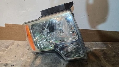 Faro halógeno pasajero derecho Ford F150 F-150 2009 2011 2012 2013 2014 OEM Foto 1 de 4
