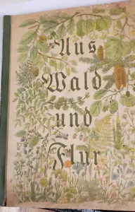 GERMAN BOOK FLOWERS AND PLANTS TITLE "UUS WALO UNO FLUR" 128 PAGES LOOKS OLD ms - Foto 1 di 7