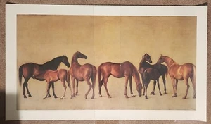 Mares and Foals : George Stubbs : 1762 : Archival Canvas Art Print Large 20x40 - Picture 1 of 1