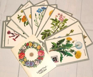 Vintage floral cards, Set of 16 Botanical illustrations, Flowers clock Botanical - Picture 1 of 18